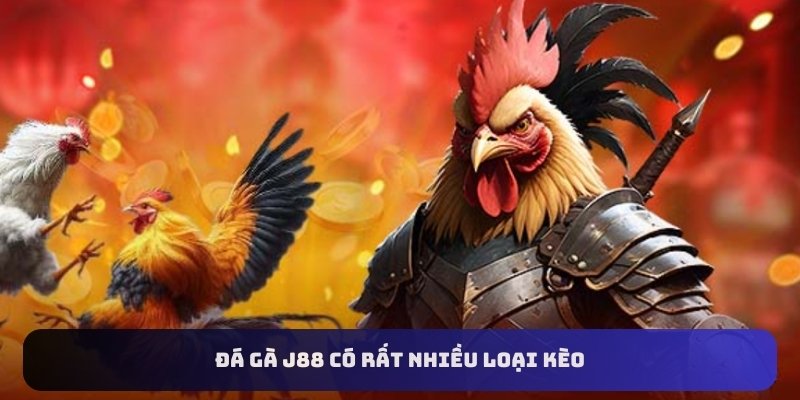 Đá gà J88 có rất nhiều loại kèo
